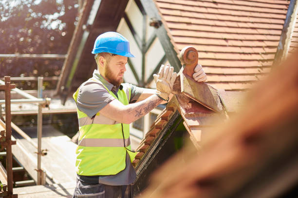 Best Roof Gutter Cleaning  in Reynoldsville, PA